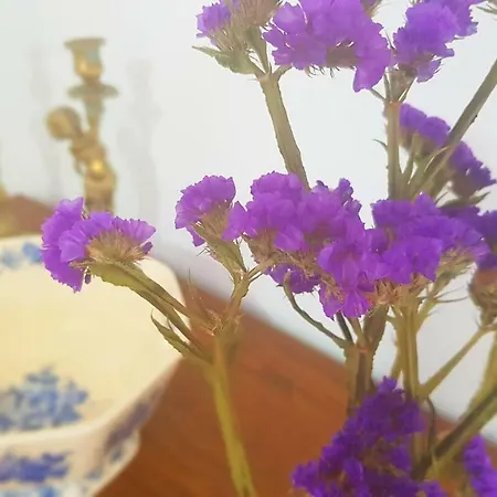 Casa Algarabía * Sanlúcar de Barrameda